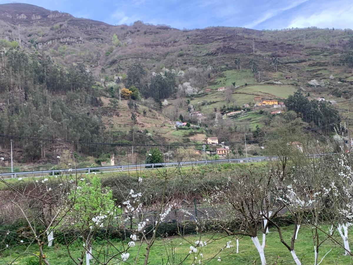 Bustiello  Casa Rural En Santa Cruz-Mieres מראה חיצוני תמונה