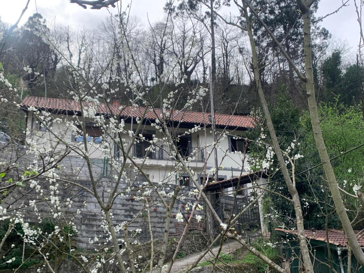 Bustiello  Casa Rural En Santa Cruz-Mieres מראה חיצוני תמונה